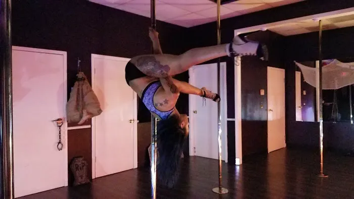Twirl n Shape Pole Fitness Picture 1