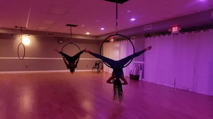 Twirl n Shape Pole Fitness Picture 2