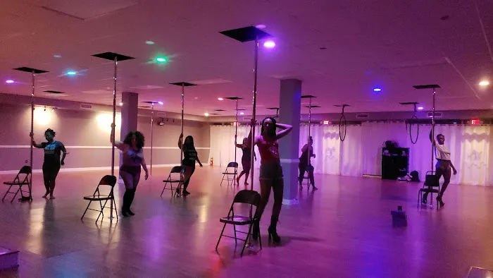 Twirl n Shape Pole Fitness Picture 5