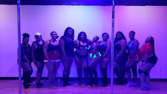 Twirl n Shape Pole Fitness Picture 3