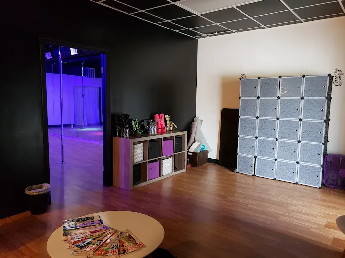 Twirl n Shape Pole Fitness Picture 4