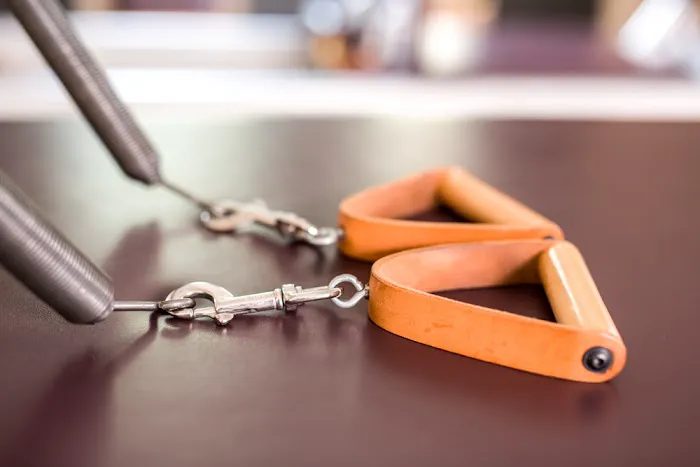 Rebellious Studio Picture 4