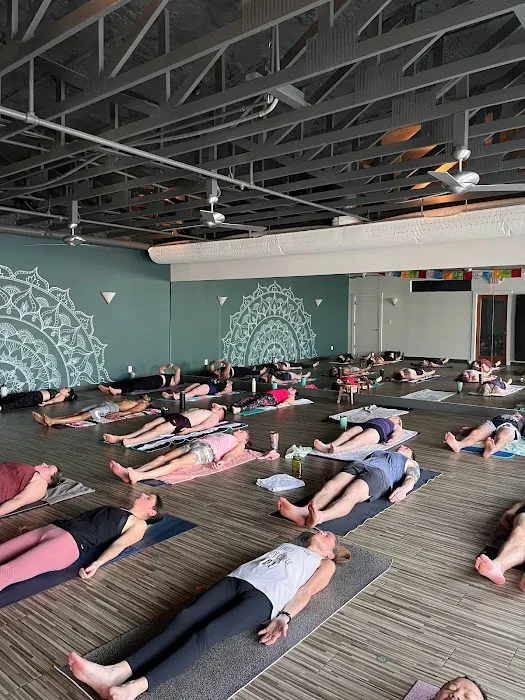 Korsi Yoga + Juice Bar Picture 3