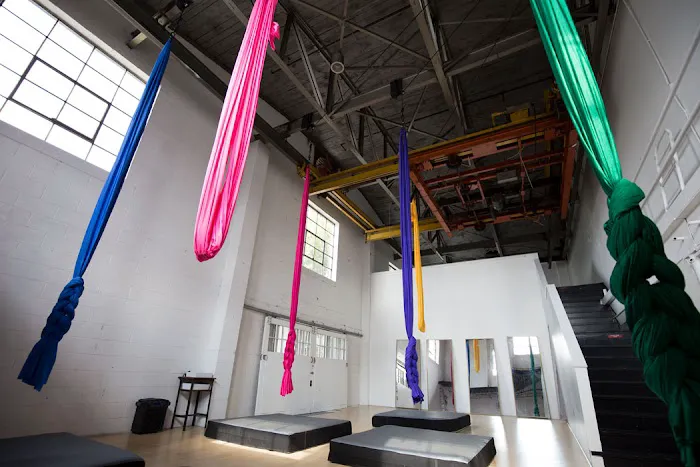 The Artists' Asylum Picture 1