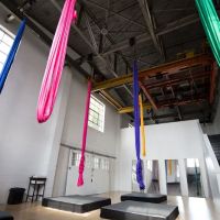 The Artists' Asylum ico