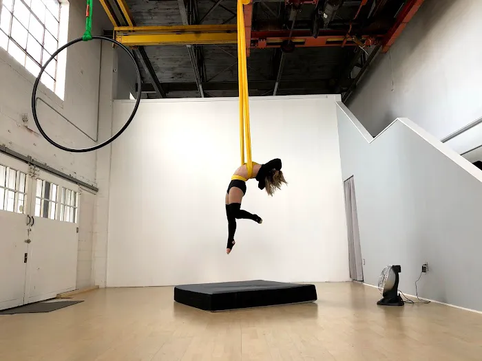 The Artists' Asylum Picture 10