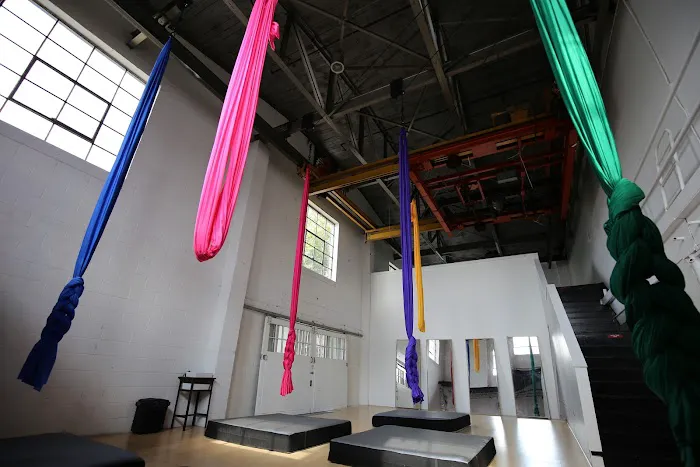 The Artists' Asylum Picture 6