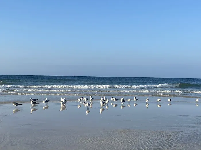 MundoZen Yoga & Wellness Picture 5