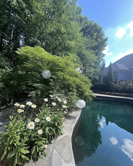 MundoZen Yoga & Wellness Picture 8