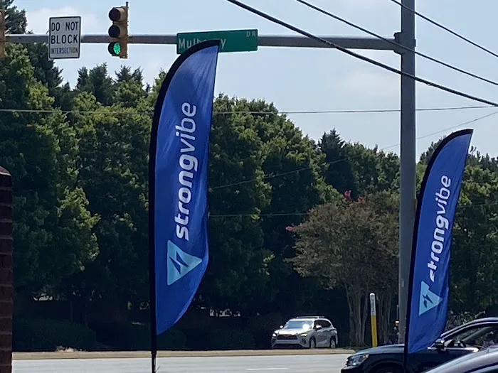 Strongvibe 20-Minute Body Muscle Stimulation Workout and Infared Sauna Picture 10