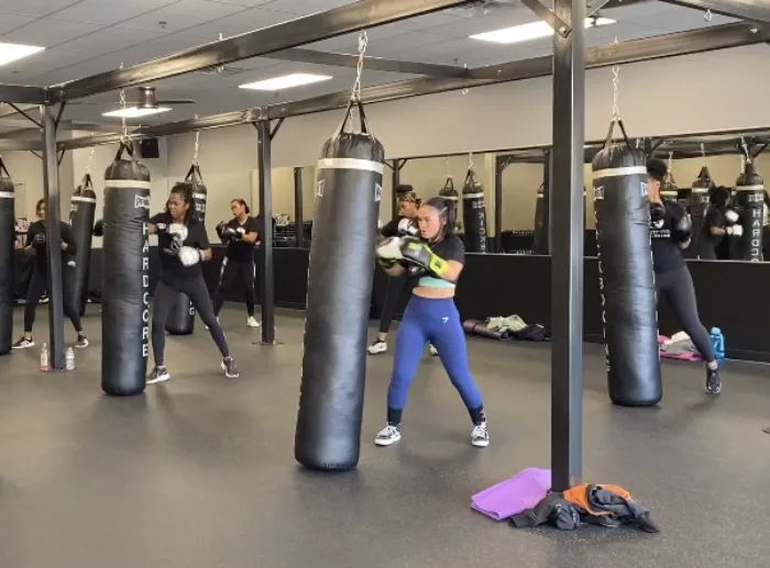 Hardcore Kickboxing Picture 3