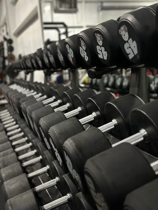 Georgia Strength Compound Picture 5