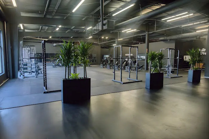 Quality Fitness Club Picture 5