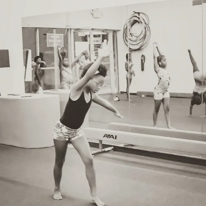 Airborne Gymnastics Club USA Picture 8