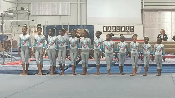 Airborne Gymnastics Club USA Picture 5