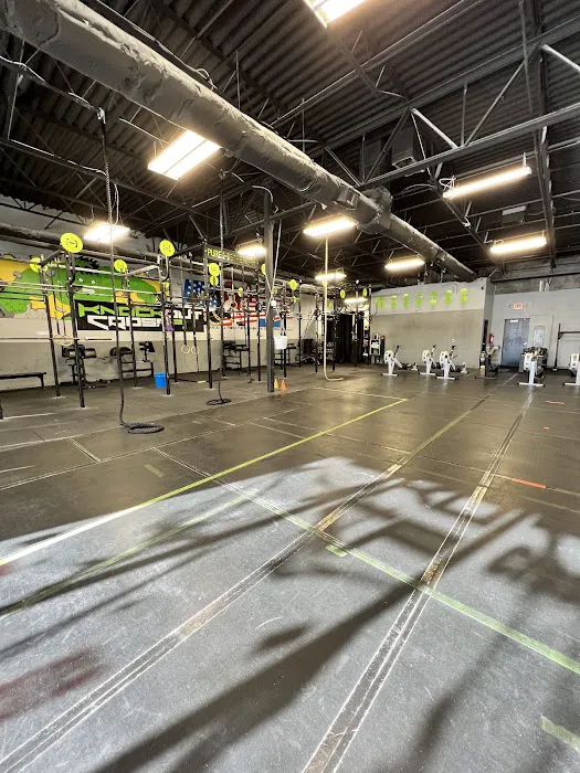 Knockout Cross-Training Picture 4