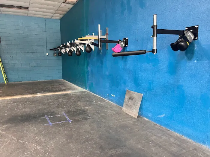 Pound 4 Pound Boxing Picture 4