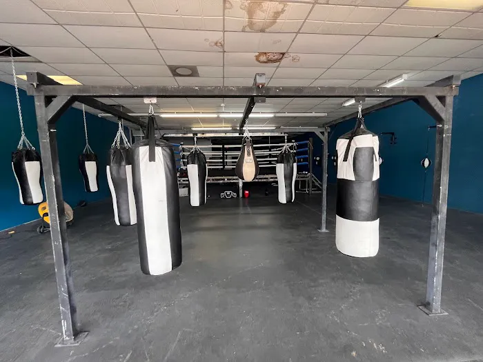 Pound 4 Pound Boxing Picture 2