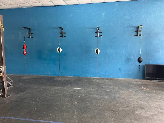 Pound 4 Pound Boxing Picture 3