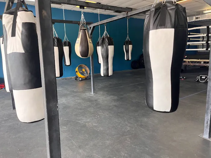 Pound 4 Pound Boxing Picture 8