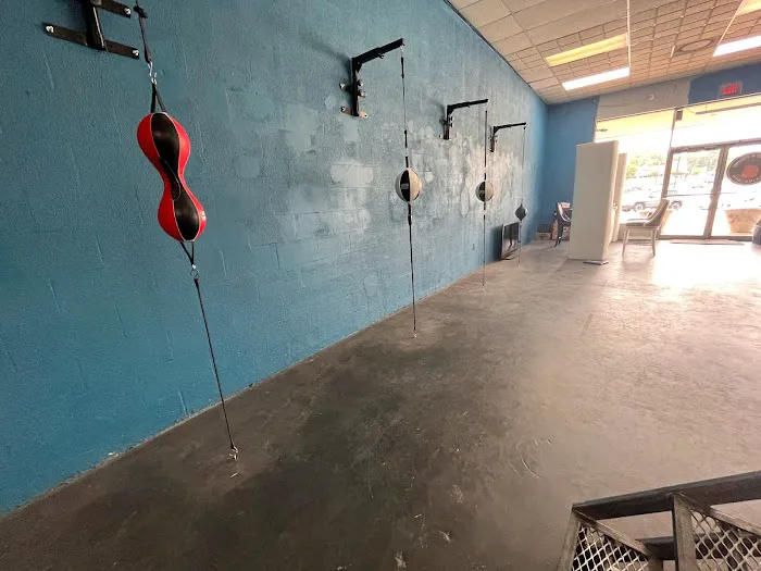 Pound 4 Pound Boxing Picture 9