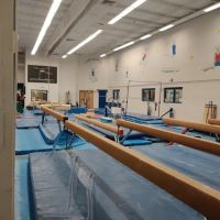 Roswell Gymnastics ico