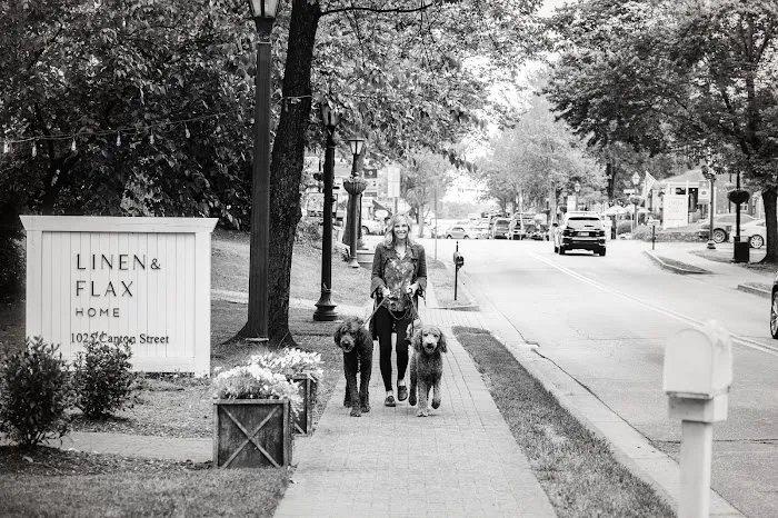 Amy Lloyd Wellness & Yoga Picture 4