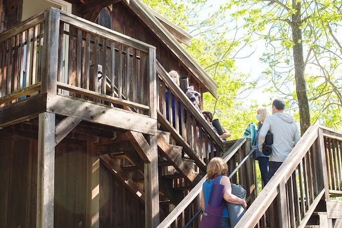 Amy Lloyd Wellness & Yoga Picture 10