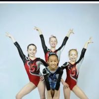 Atlanta North Stars Gymnastics ico
