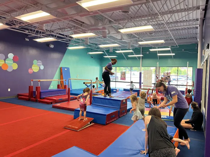 The Little Gym of East Cobb, GA Picture 7