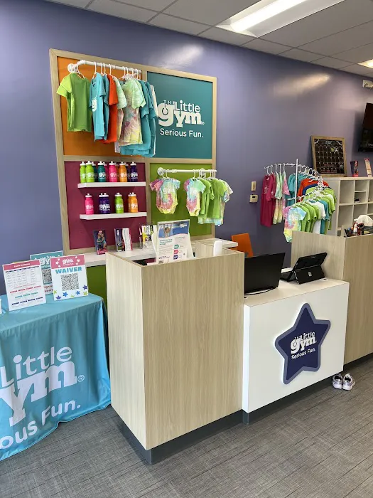 The Little Gym of East Cobb, GA Picture 4