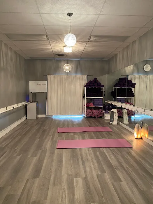 The Fitness Collective ATL Picture 5