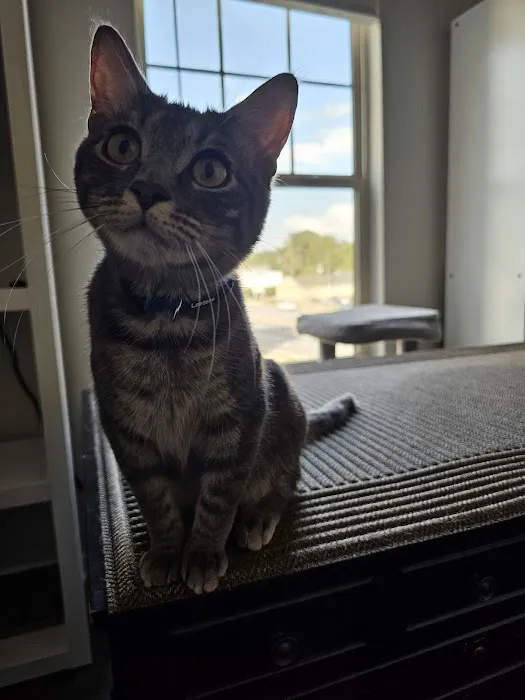 Club Pilates Picture 10