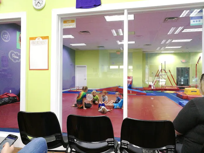 The Little Gym of Snellville Picture 3