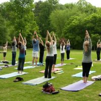 Stillness Yoga & Meditation Center ico