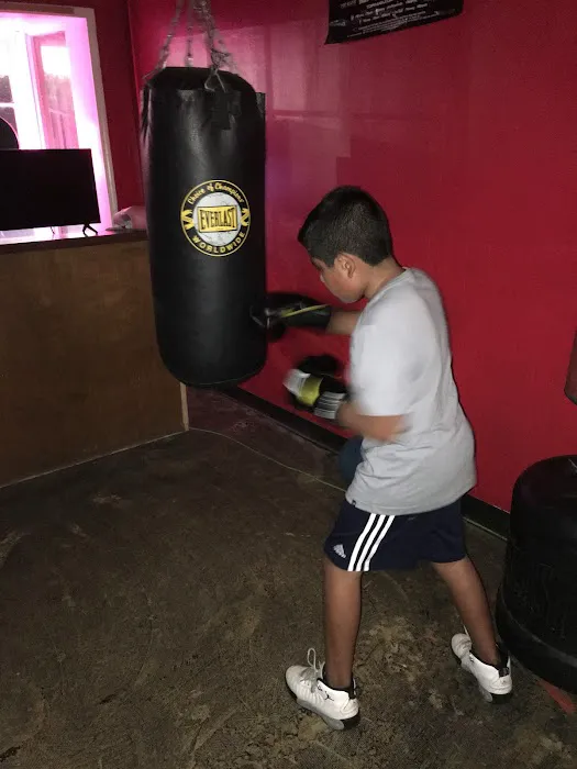 Holly Rock Boxing Gym & Fitness Center Picture 8