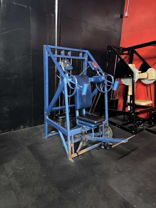 MadHouse Gym Picture 7