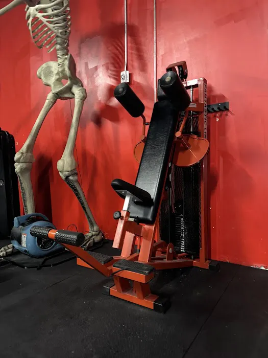 MadHouse Gym Picture 2