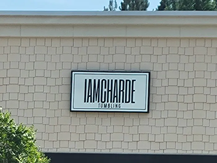 IAMCHARDE TUMBLING Picture 1