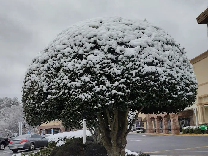 Anytime Fitness Picture 6