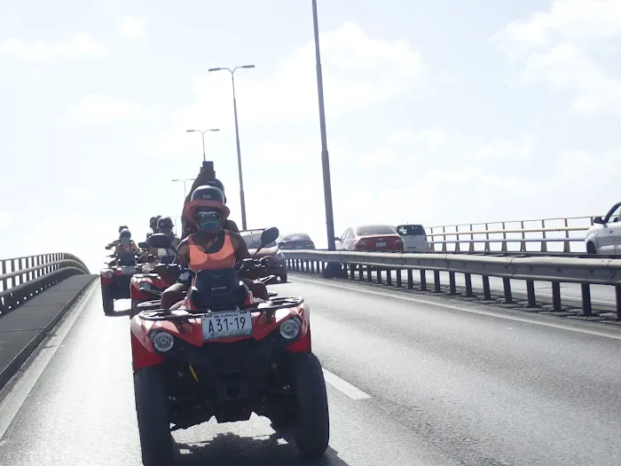 CrossFit ICONZ Picture 6