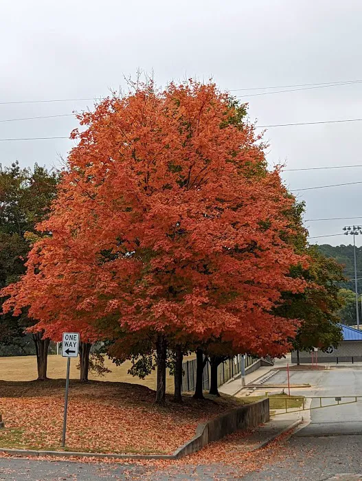 City of Marietta Custer Park Sports and Fitness Center Picture 3