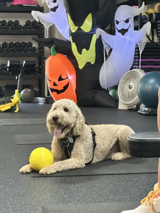 Fitness Marietta Picture 6