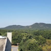 Wellstar Health Place ico