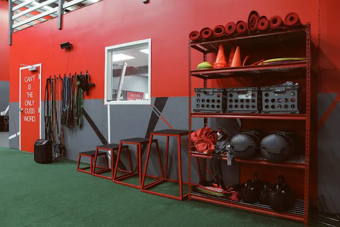 The Body Plug Picture 4