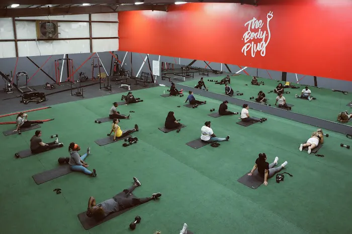 The Body Plug Picture 3