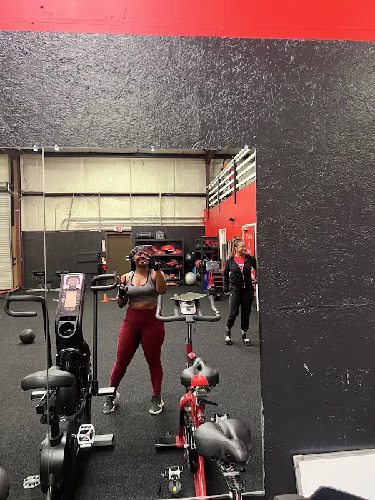 The Body Plug Picture 7