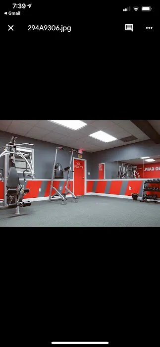 The Body Plug Picture 5