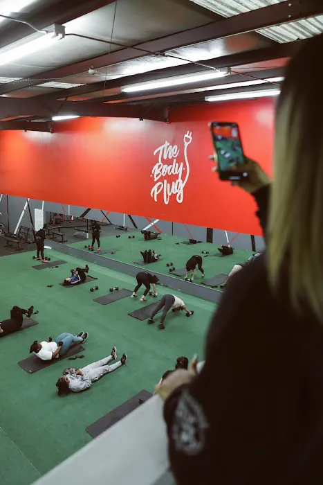 The Body Plug Picture 1