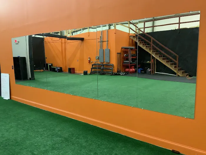 The 14Day Lab Picture 1